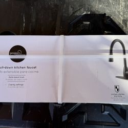 Project Source Pull Down Kitchen Faucet