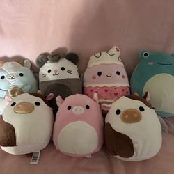 squishmallow for sale message for prices 