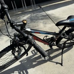 Schwinn Signature Boys' Thrasher 24'' Mountain Bike