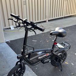 Penguin Folding Electric Bike