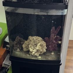 16 Gallon Biocube