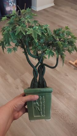 Bonsai Tree decoration with adorable vase