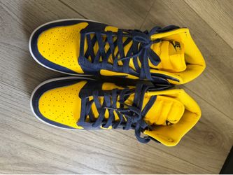 Nike dunk high size 11