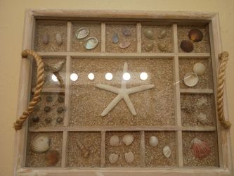 Seashell Shadow Box Wall Display with Sand