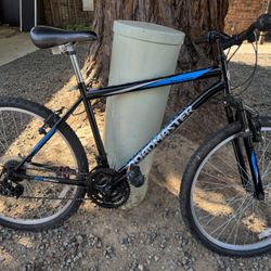 Mountain Bike Roadmaster Gate For The Summer Ride