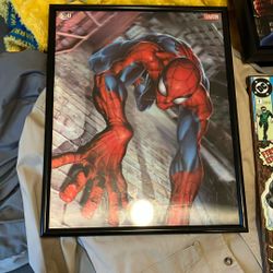 Spider-Man Art