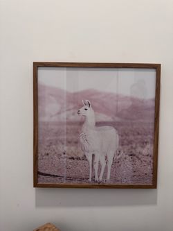Target Framed Llama Wall Art – 24" × 24"