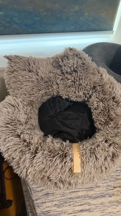 Large pet beds (CLEAN)