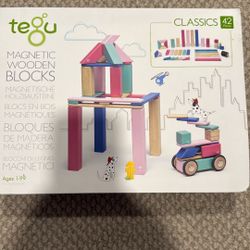 Tegu 42 Piece Magnetic Block Set