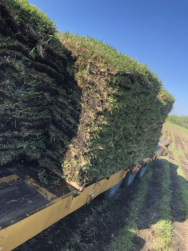85 a pallet Sod Bahia Delivered and Installed for Sale in Port St