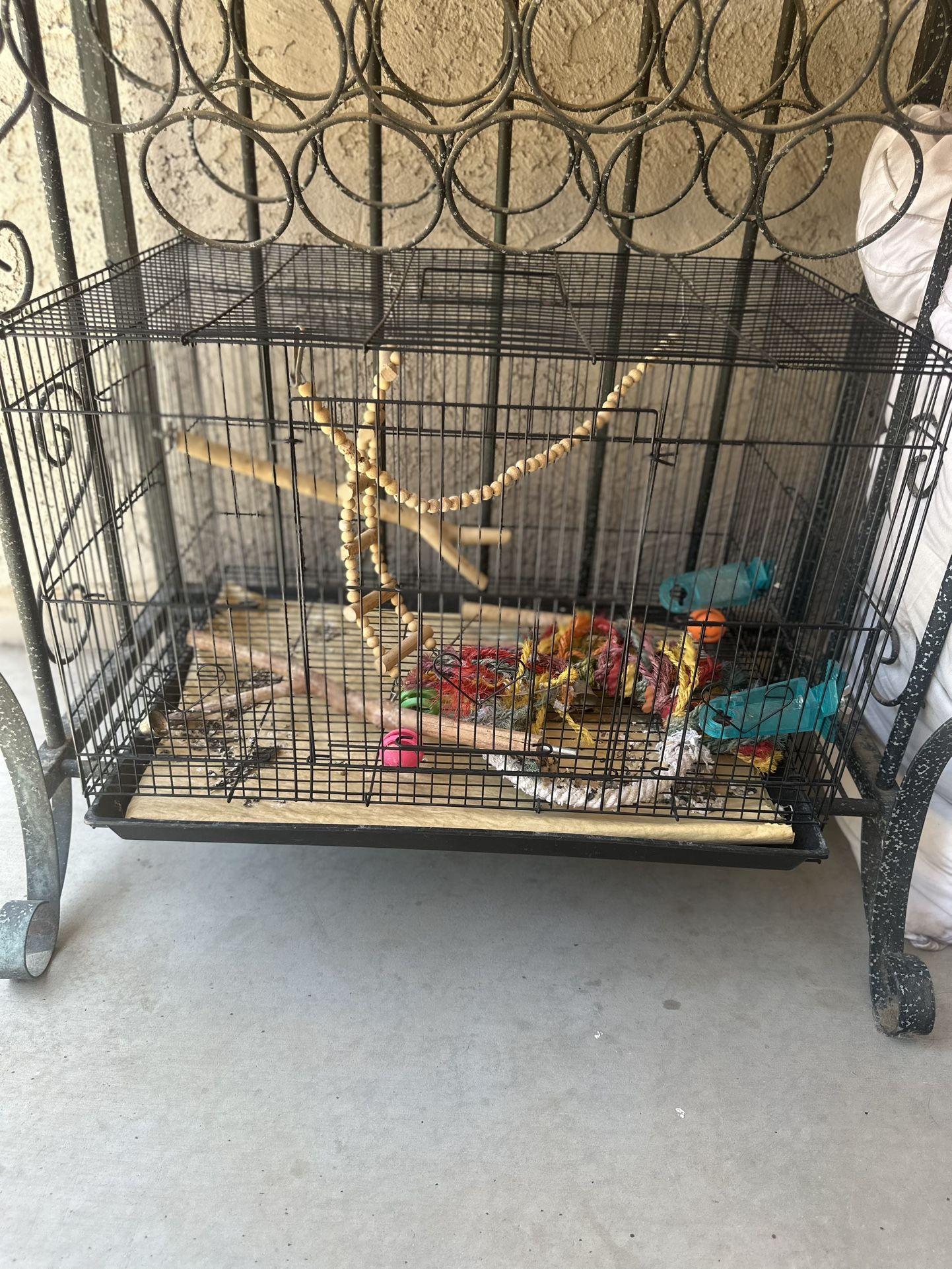Birds Cage