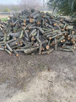 Green Firewood