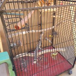 Large Bird Cage