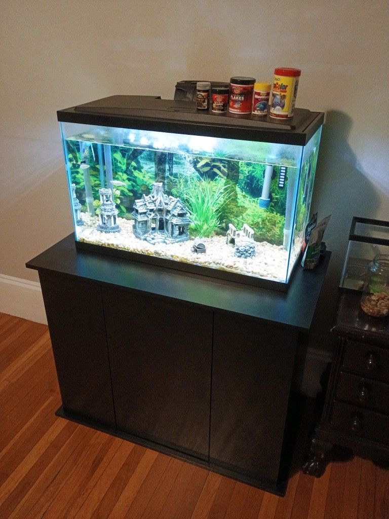 Aquarium with stand