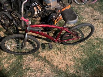 Beach Cruiser