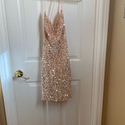 Size 2 sequent dress, pastel pink