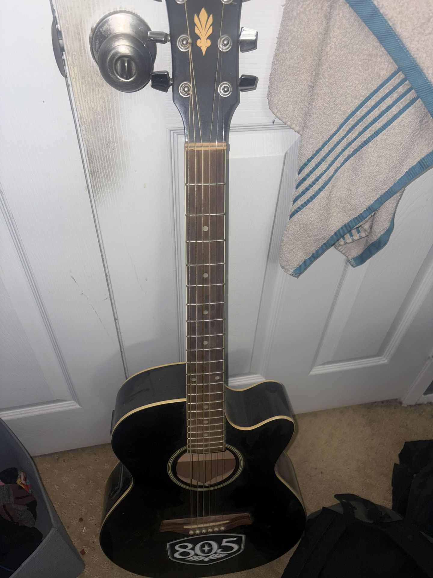 Ibanez Acoustic Electric Guitar With Tuner