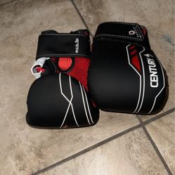 Kickboxing Gloves 
