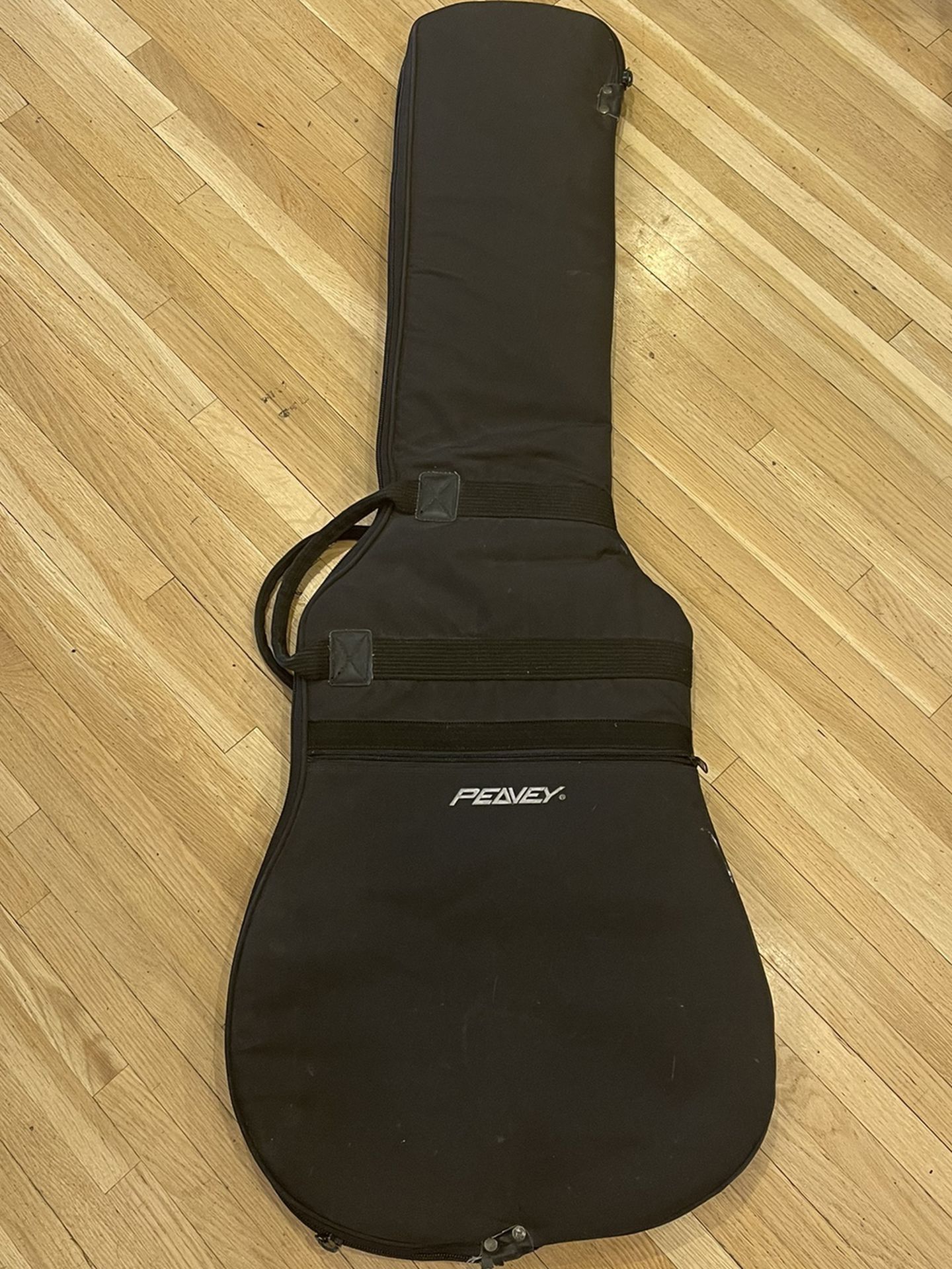 Electric Guitar Case - Soft Sided