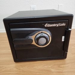 Sentry Safe 
