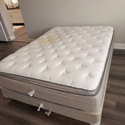 FREE - Queen Mattress & Box Spring Set