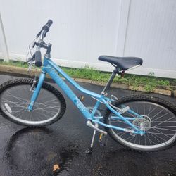 Giant Bicycle 