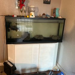 Free Fish Tank 
