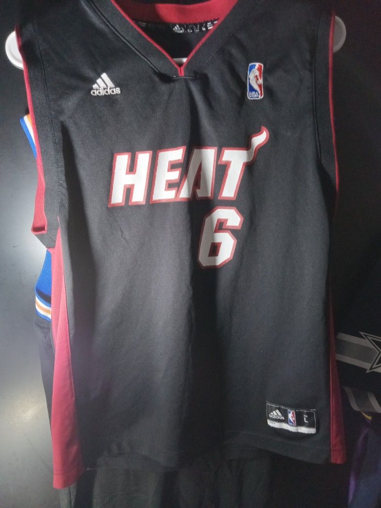 LeBron James HEAT JERSEY#6
