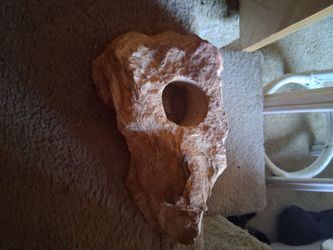 Beautiful rock I found out in my yard