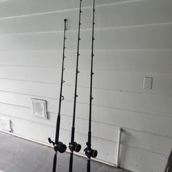 All 3 Rods, Shimano Charter Special TR, Penn Squall 40LD, AndPenn Squall 30LD