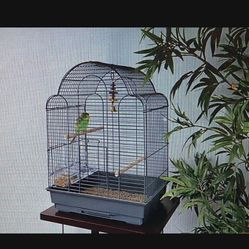 Parakeet/Finches/Parrot/lovebirds/small bird scallop top cage  $45.00 Obo
