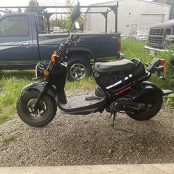 Honda ruckus