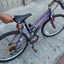 Magna Zip Drive Bike