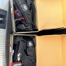 SideXSide Seat Belts