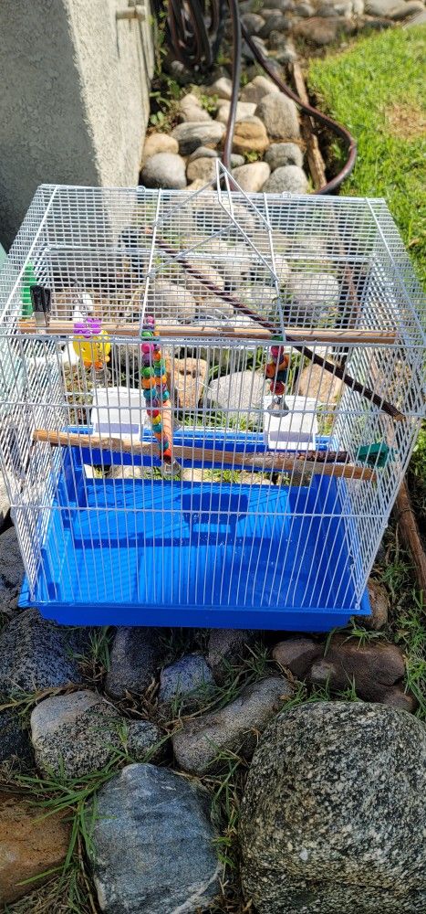 Bird Cage 🐦 $40