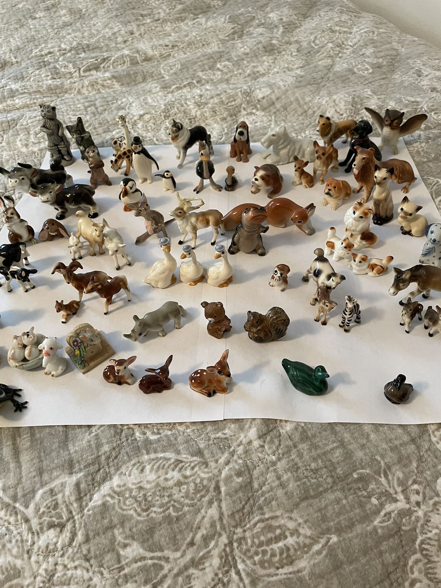 Collection Of Small Animals 
