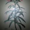 Xiaoping Wu