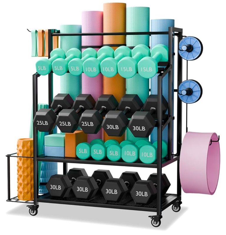 600LBS Dumbbell Rack Weight Stand (Jh2053F)