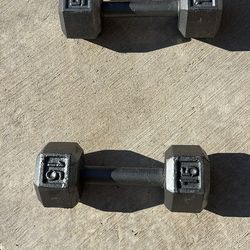 15lb dumbbell pair