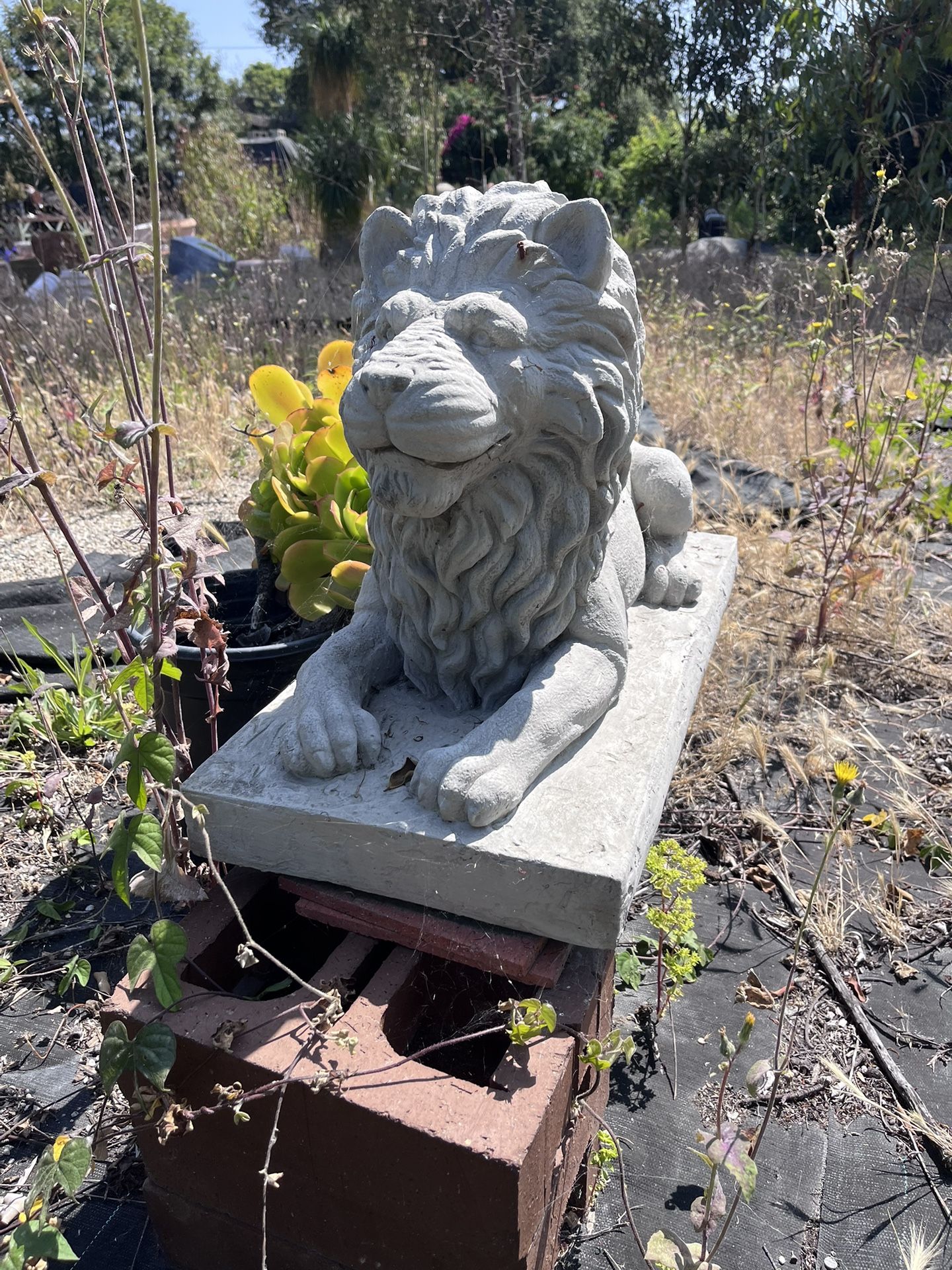 Solid Lion Statue
