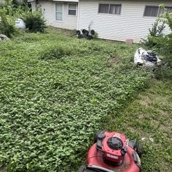 Lawn Mower