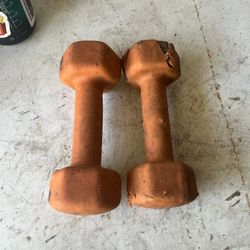 8 Lb Dumbbells 