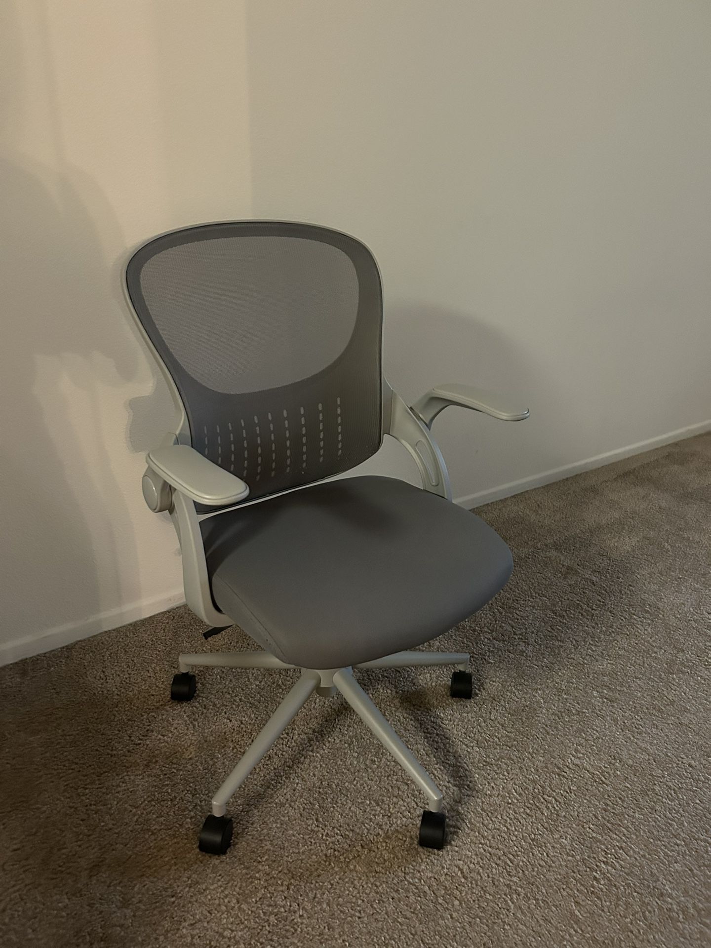 Office Chair - $20