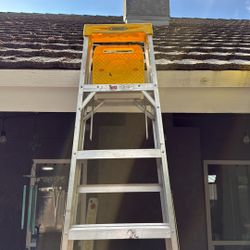 Werner 8ft Ladder 