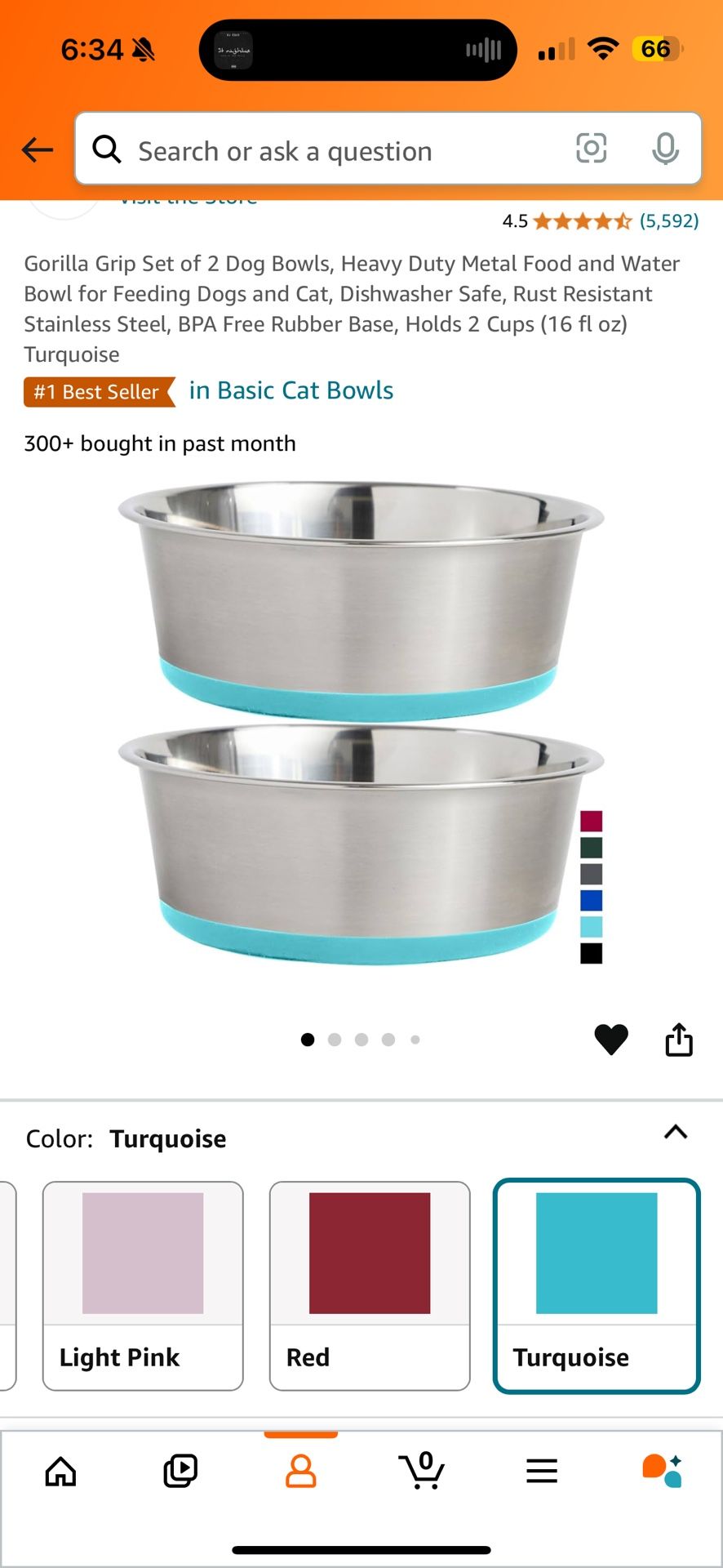 Dog Bowl