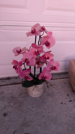 Beautiful Artificial Orchid Flowers $30/1  