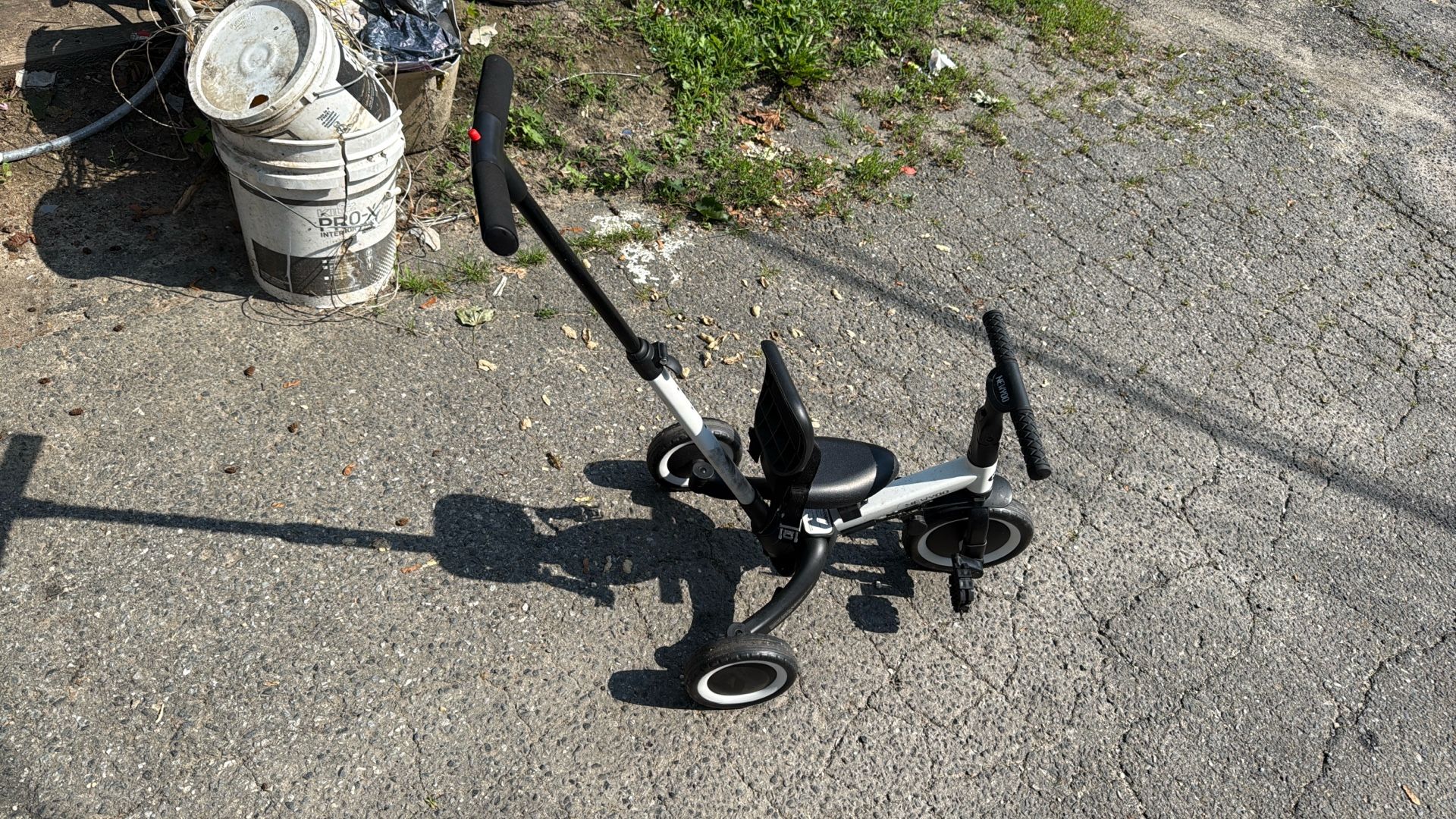 Newton Tricycle 