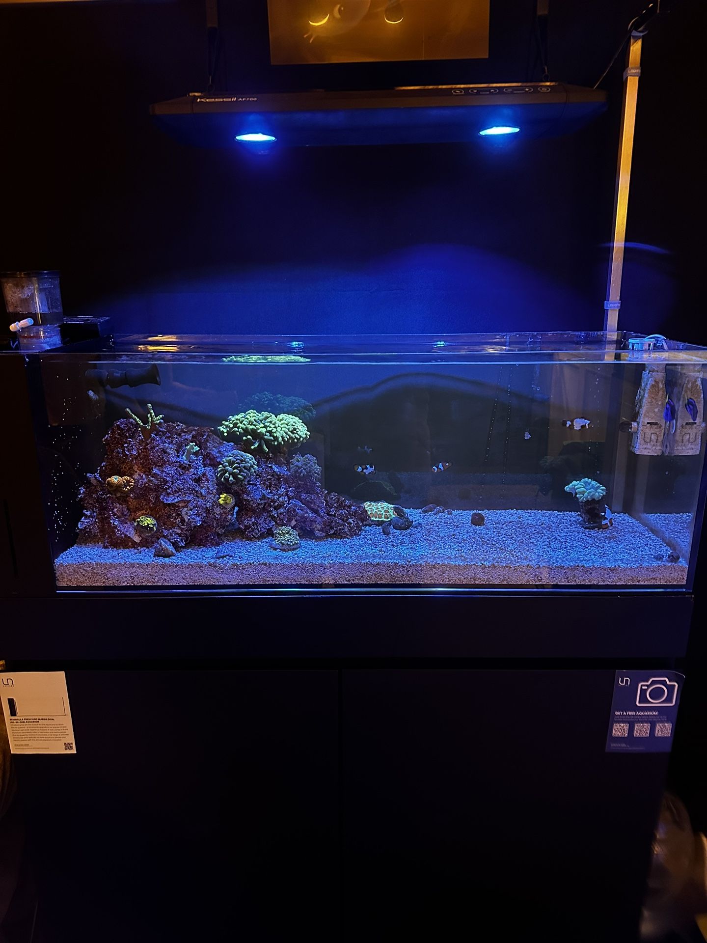 UNS 90LA Peninsula Salt Water Tank