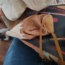 Pokemon Evee Costume 