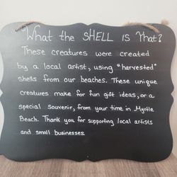 Hand Painted Shell Turtles